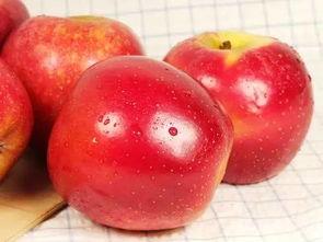 5.1吃瓜网官网苹果版