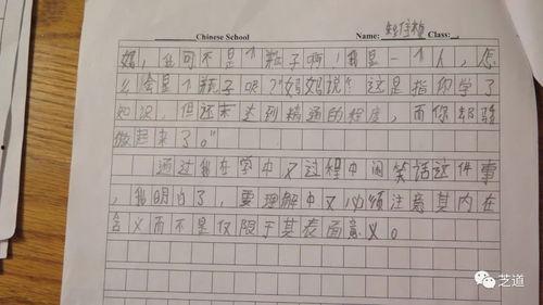 吃瓜大赛作文两轮,两轮角逐,瓜界风云再起